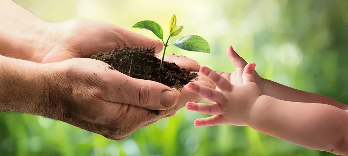 Tree Plantation & Environmental Conservation